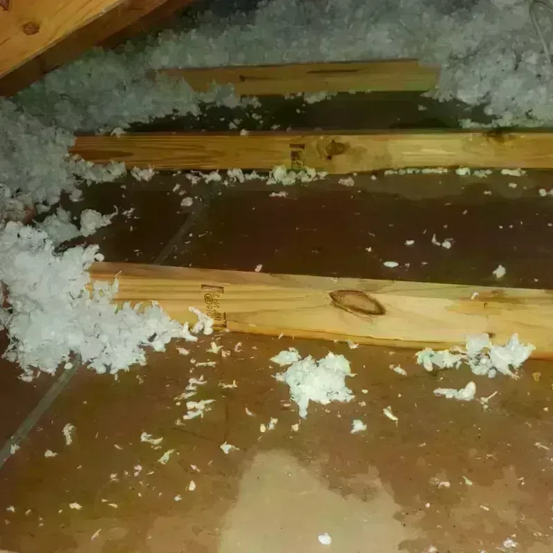 Attic Water Damage in Harahan, LA