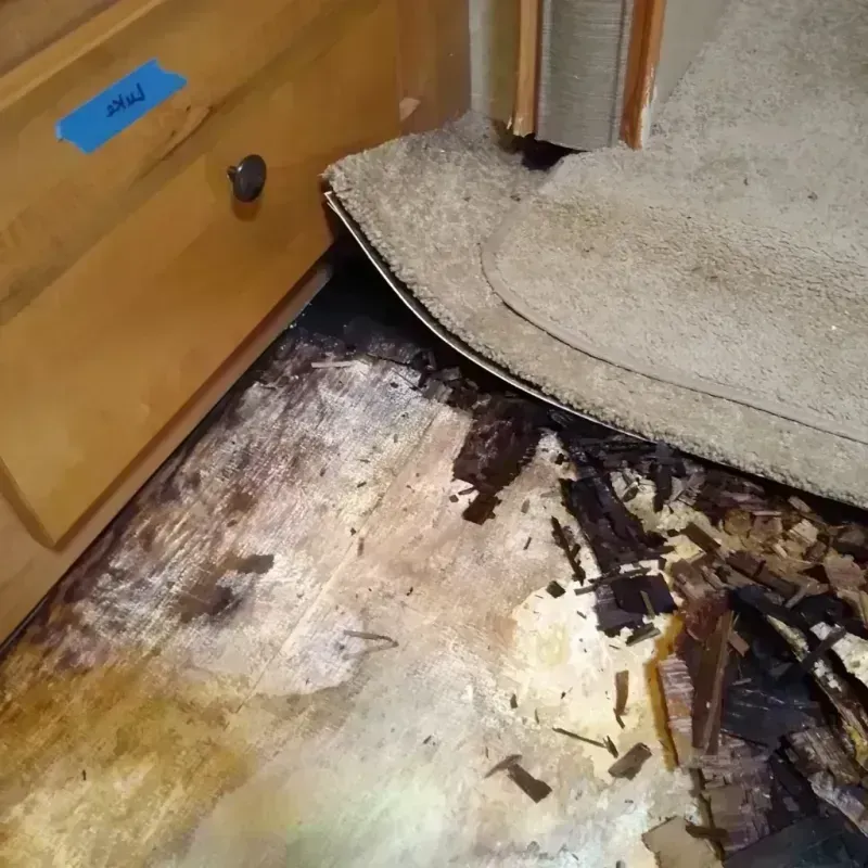 Best Wood Floor Water Damage Service in Harahan, LA